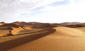 Desert Wüste Simone Rosenberg Fotografie Photography rosenbilderberg Postproduction Bildbearbeitung Namibia